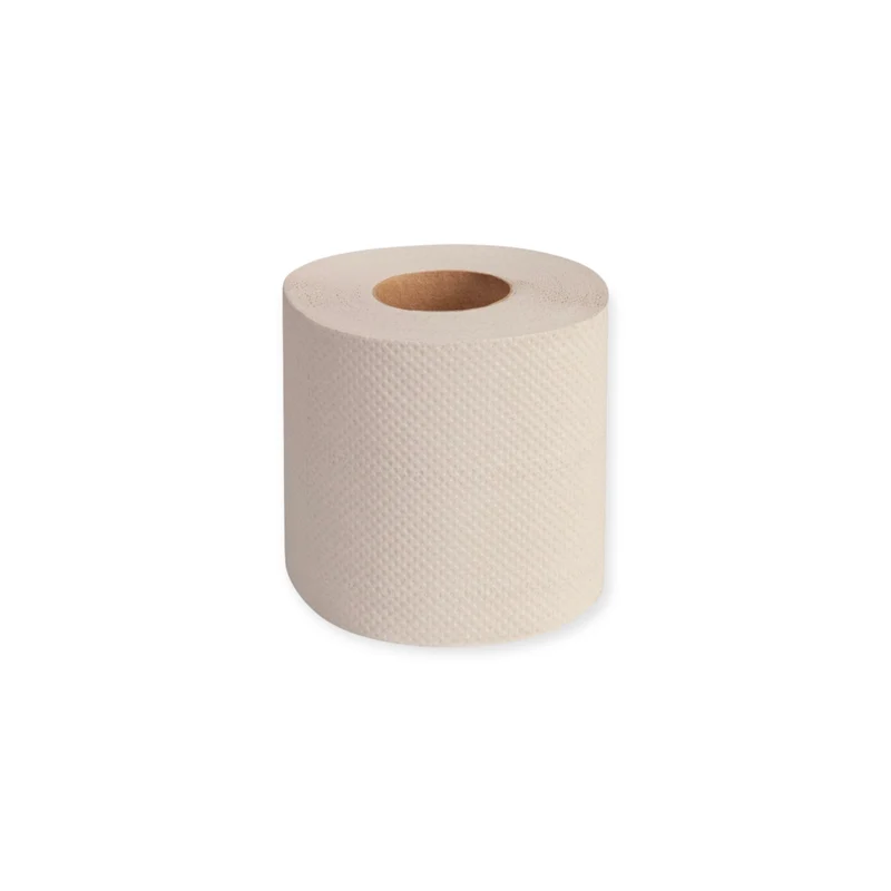Toilettenpapier Kleinrolle, 2-lagig, 400 Blatt, Recycling. 1 VE = 48 Rollen
