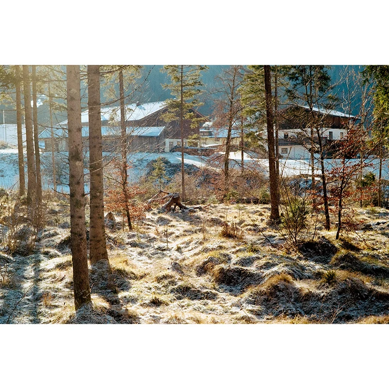 Film Couleur UltraMax 400 (35mm, 36 Poses, Paquet de 3)