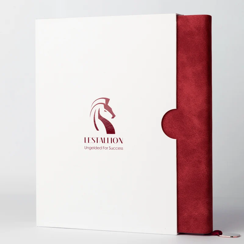 CASPIAN | Royal Red - A5 Lined Journal - Soft Cover