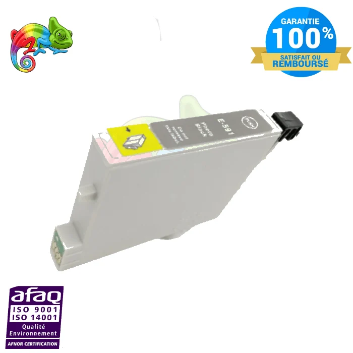 Cartouche Epson T0591 Noir Photo: Stylus Photo R2400