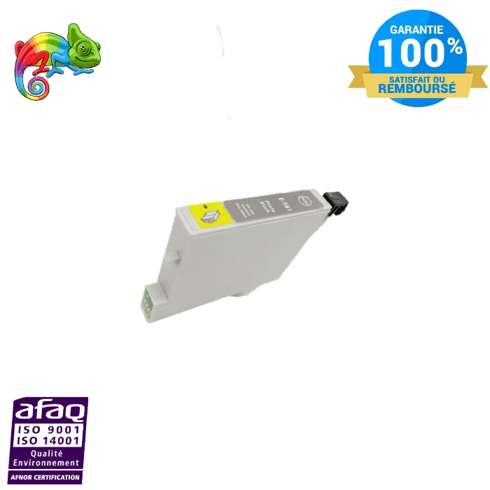 Cartouche Epson T0591 Noir Photo: Stylus Photo R2400