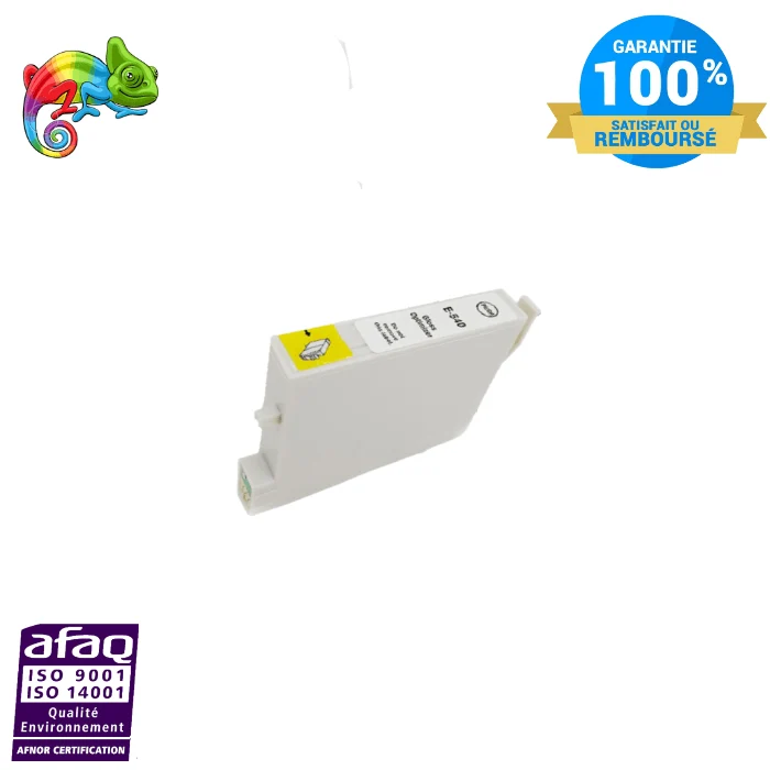 Cartouche Epson T0540 Gloss: Stylus Photo R800, R1800
