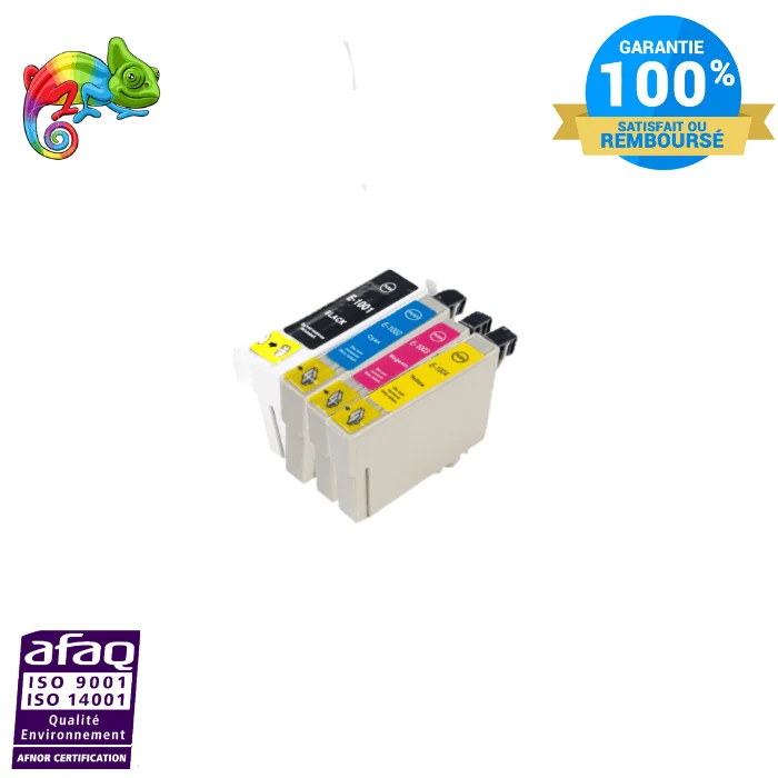 Pack 4 Cartouches Epson T1006 Rhinocéros B/C/M/Y: Stylus Office B40W, BX600FW