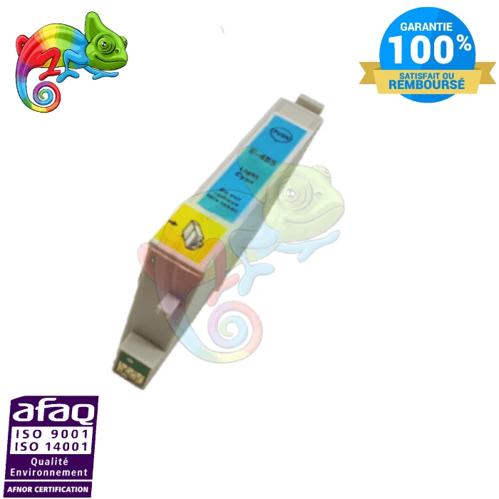 Cartouche Epson 0485 Light Cyan: Stylus Photo R200, R300, RX500