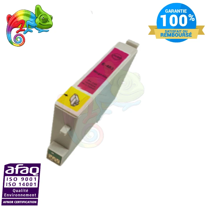 Cartouche Epson 0483 Magenta — Stylus R200, Stylus RX500