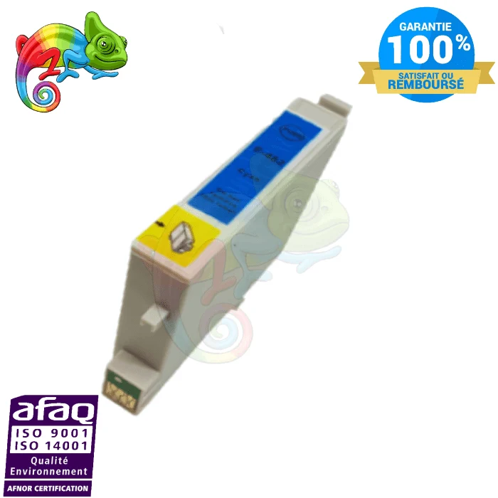 Cartouche Epson 0482 Cyan — Stylus R200, Stylus RX500