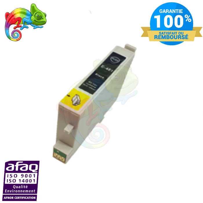 Cartouche Epson 0481 Noir — Stylus R200, Stylus RX500
