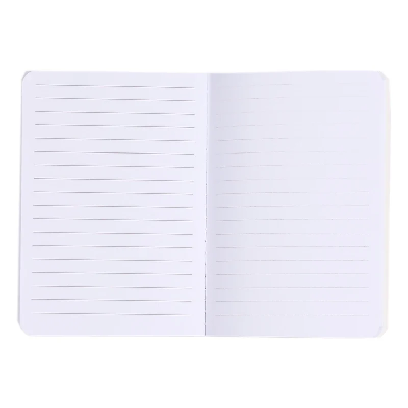 Lot de 3 carnets A6
