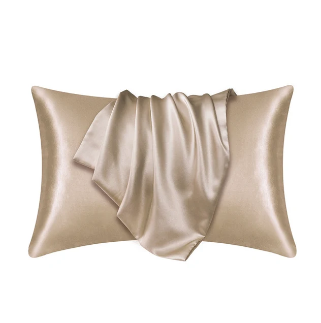 Lot de 2 Taies d'oreiller 100% soie