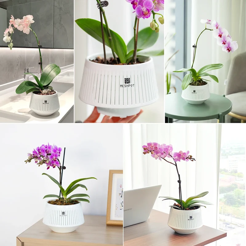 Pot Spécial Orchidée - 360° de Ventilation
