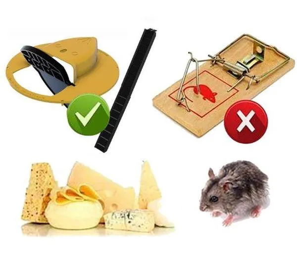 Piège à rats et souris avec trappe intelligente