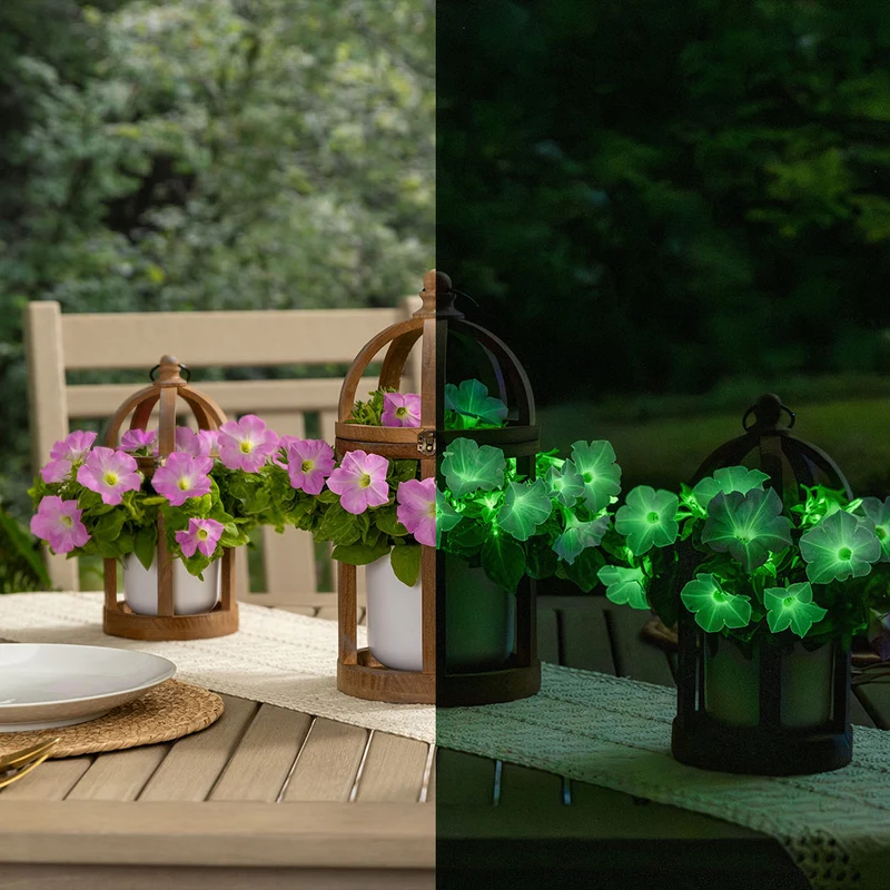 Firefly™ Moonlight™ Pink Petunia Plant