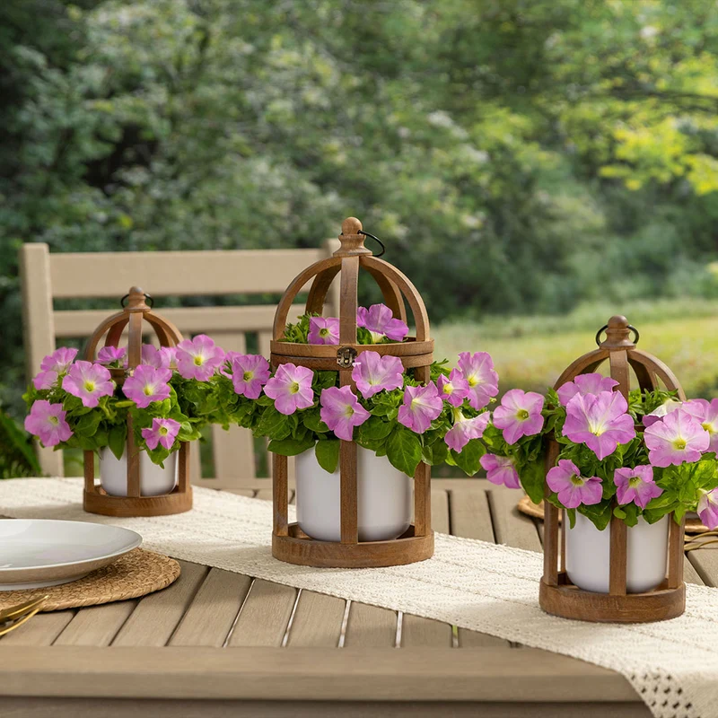 Firefly™ Moonlight™ Pink Petunia Plant