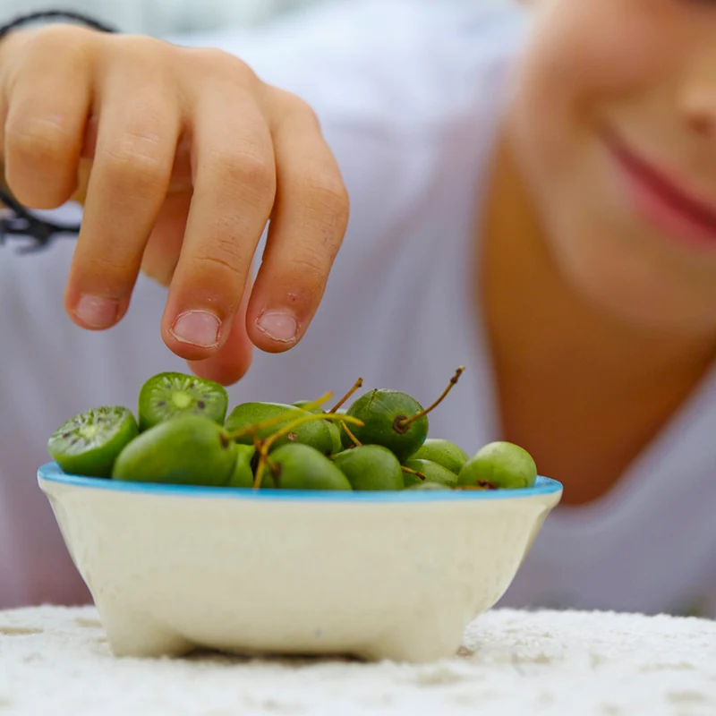 Prolific Kiwi Vine - USDA Organic