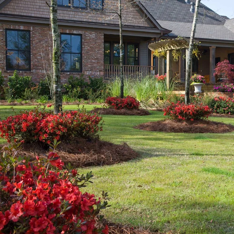 Autumn Embers® Encore® Azalea Shrub