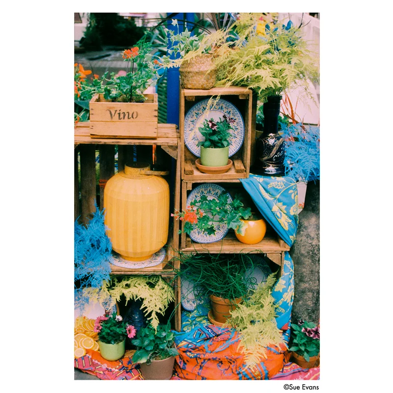 Film Couleur Phoenix II (Rouleau 120)