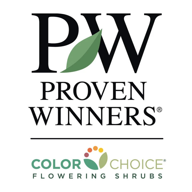 Proven Winners® Scentsation Honeysuckle Vine