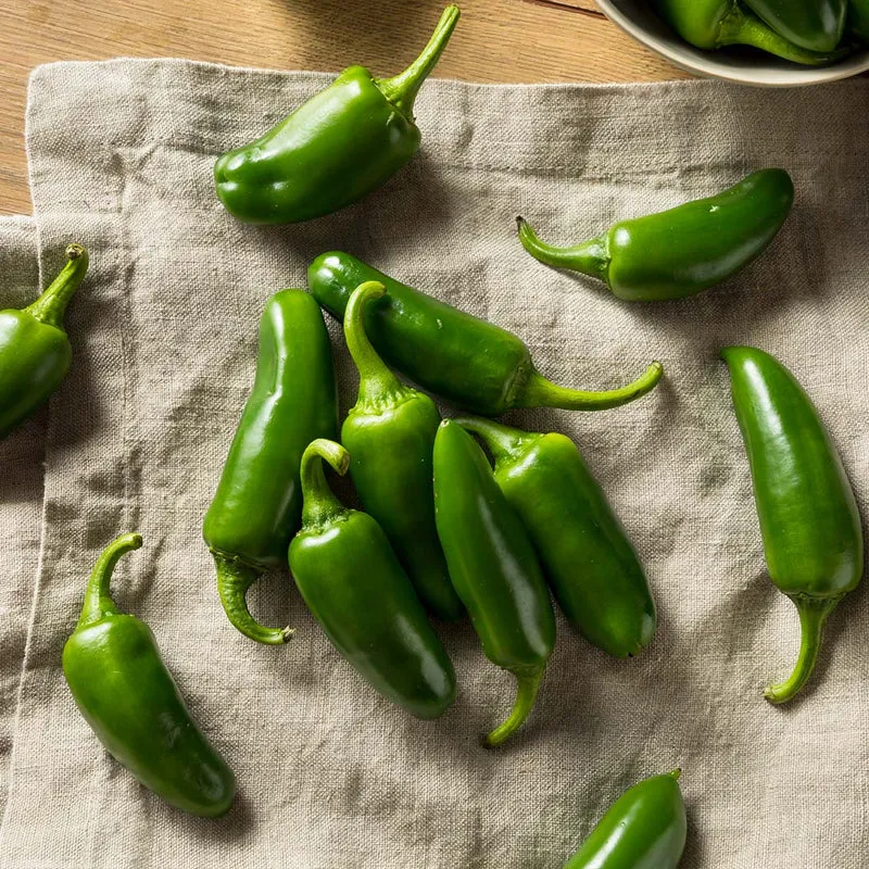 Jalapeno Pepper Plant - USDA Organic