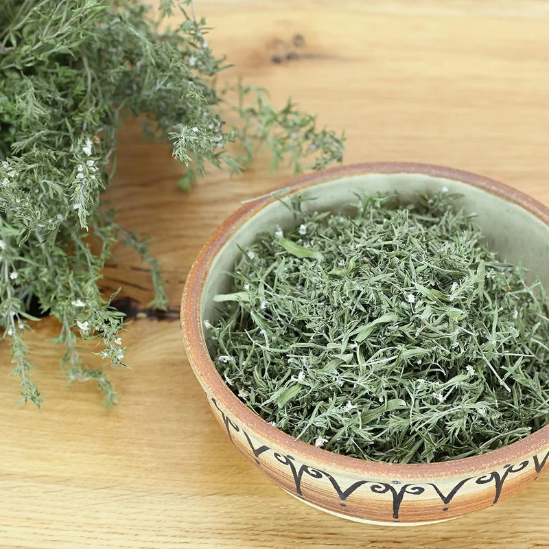 Greek Oregano Plant - USDA Organic