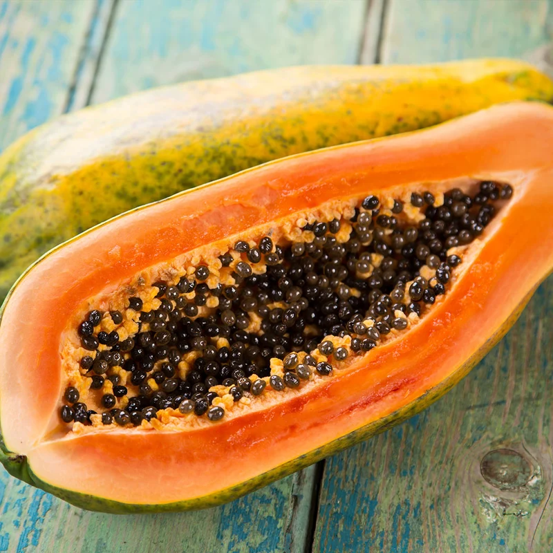 Tainung Papaya Tree