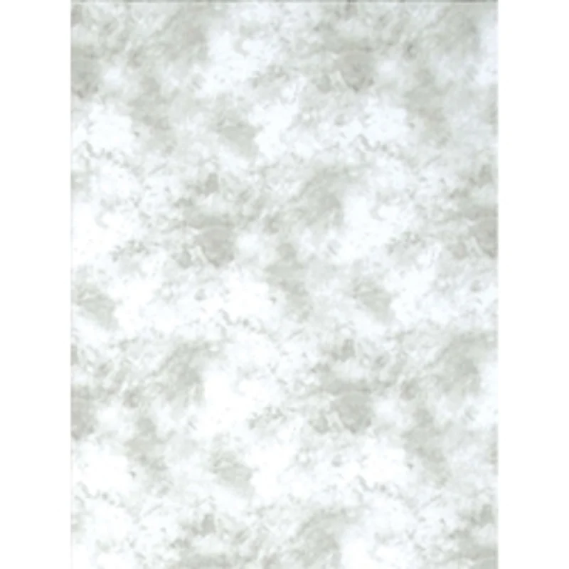 Toile de Fond Texture Nuageuse 10 x 20pi (Gris Pâle)
