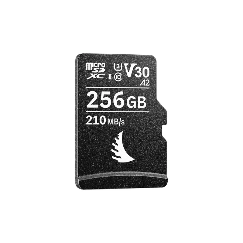 Carte Mémoire microSDXC AV Pro UHS-I V30 256GB