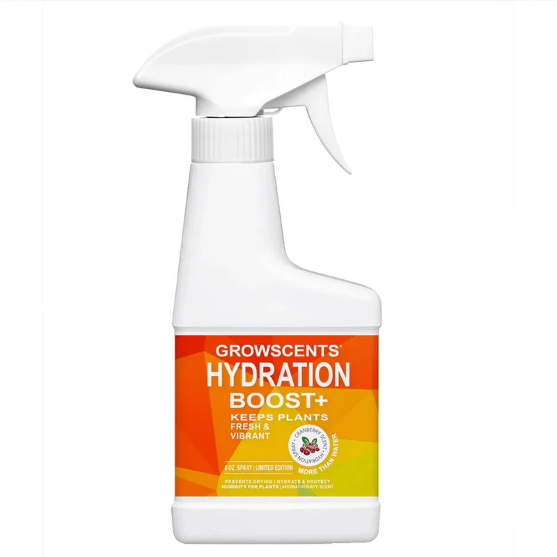 Hydration Boost+