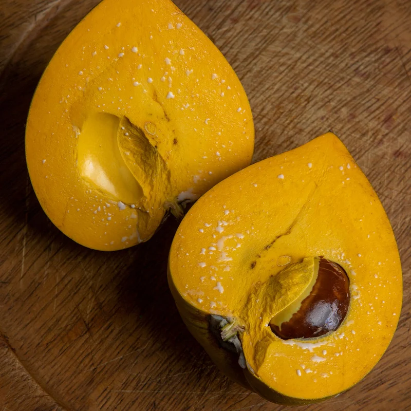 Canistel Eggfruit Tree