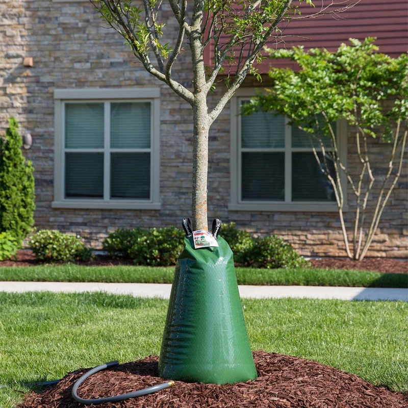 Tree Gator Slow Release Watering Bag