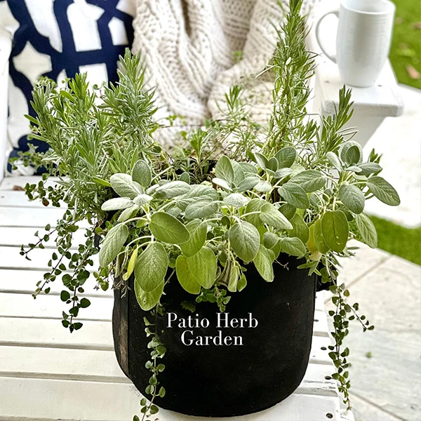 Gardenuity® Patio Herb Garden