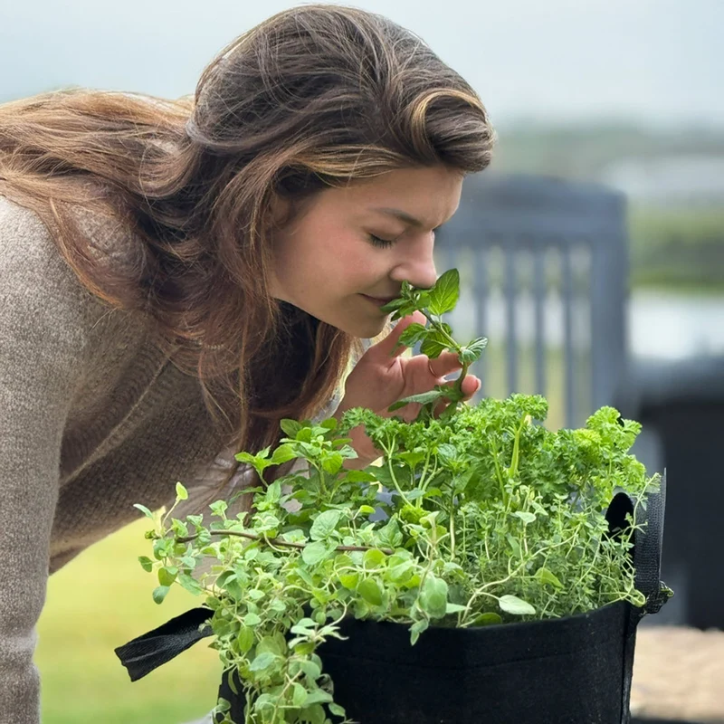 Gardenuity® Patio Herb Garden