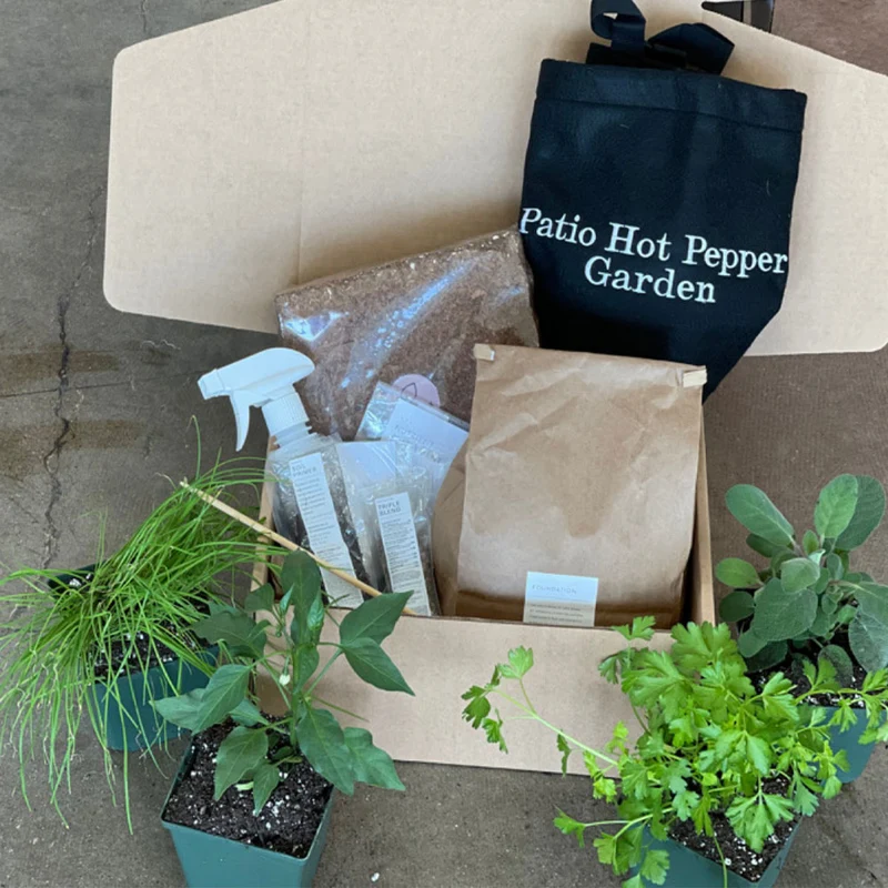 Gardenuity® Patio Hot Pepper Garden