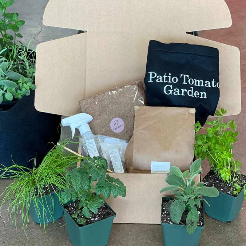 Gardenuity® Patio Tomato Garden