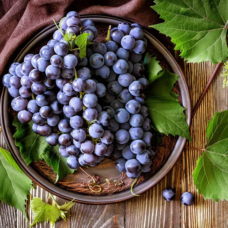 Concord Grape