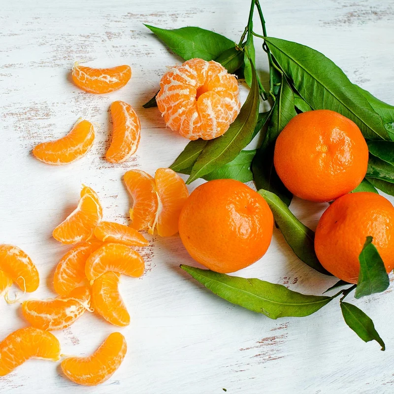 Ponkan Mandarin Tree