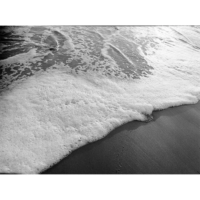 Film Noir et Blanc Pro Tri-X 320 (4x5/50 Feuilles)