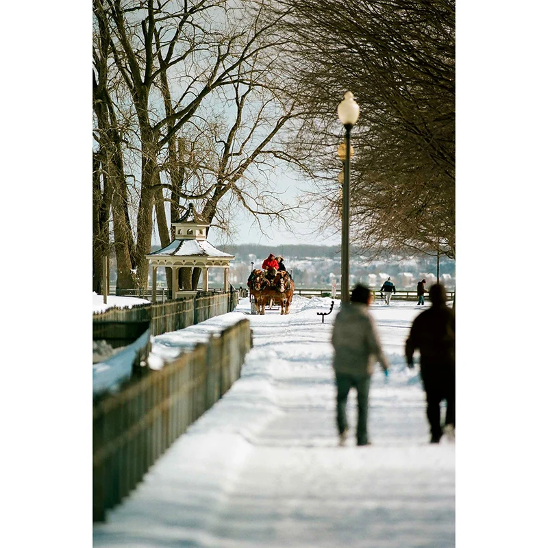 Film Couleur Ektacolor Pro 160 (Rouleau 120/Paquet de 5)