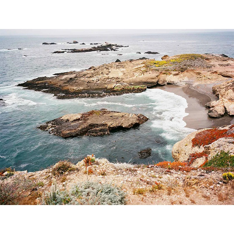 Film Couleur Ektacolor Pro 160 (35mm/36 Poses)