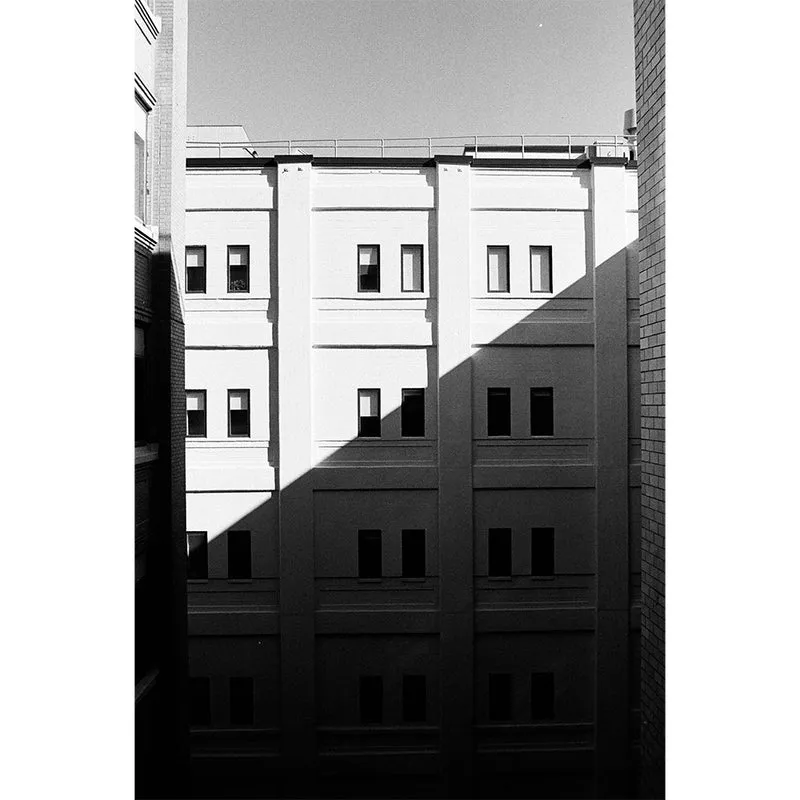 Film Noir et Blanc Pro Tri-X 320 (35mm/100pi)