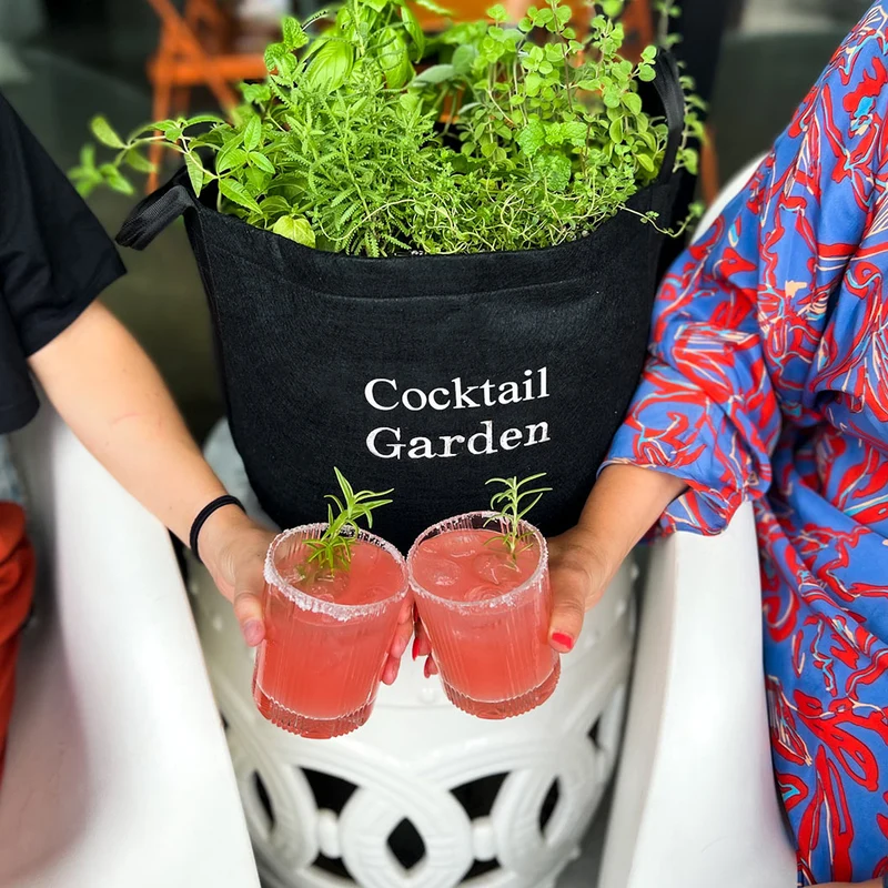Gardenuity® Patio Cocktail Herb Garden Kit