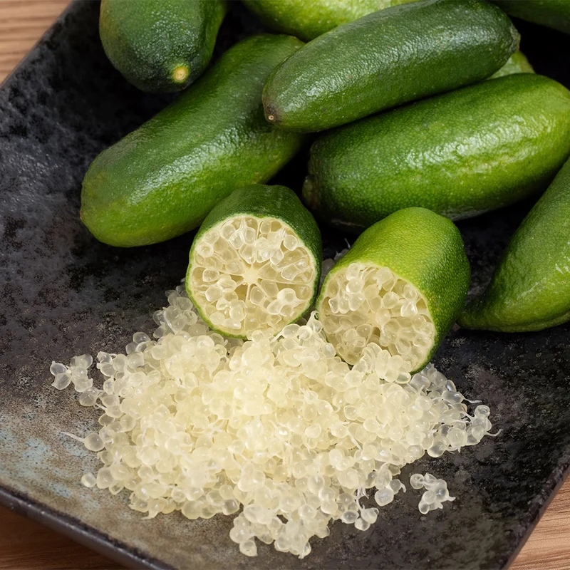 Giant Finger Lime Tree