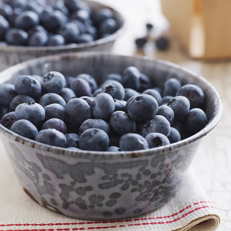 Sweetheart Blueberry Bush - USDA Organic