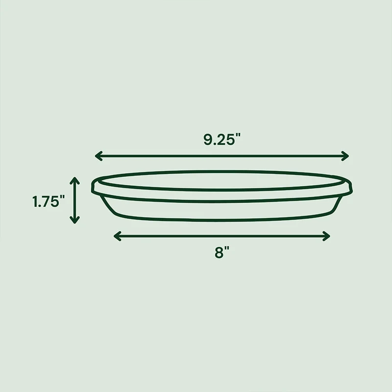 Bloem Terra Saucer in Black