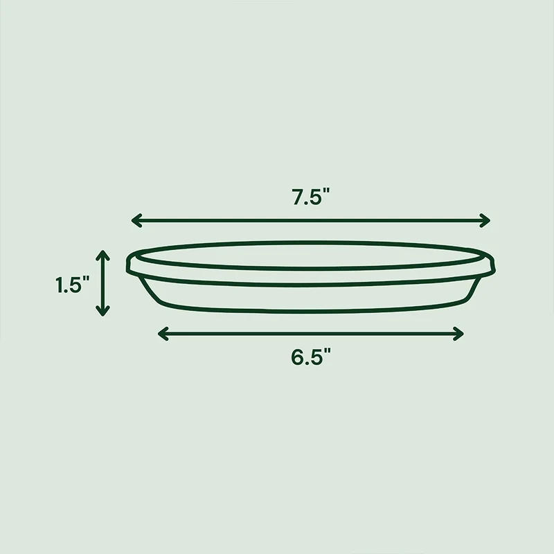 Bloem Terra Saucer in Black