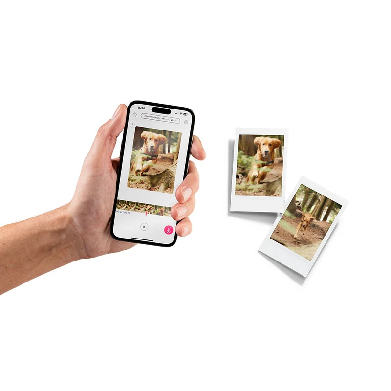 Imprimante Instax Mini Link 3 (Rose Cendré)