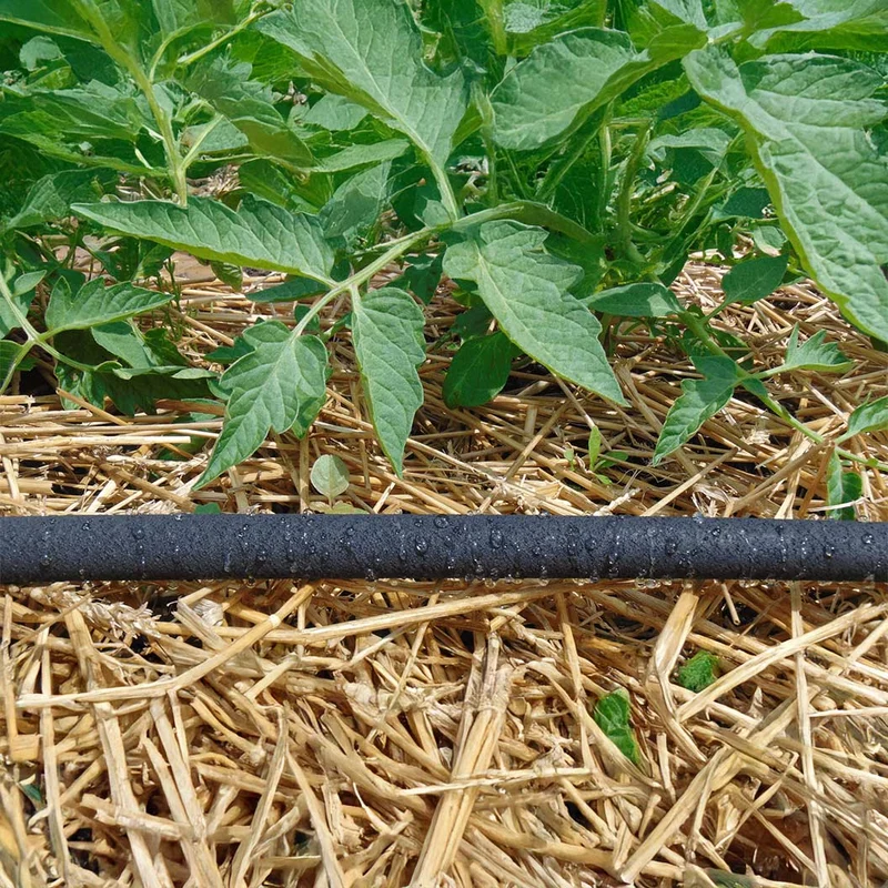 Dramm Soaker Hose