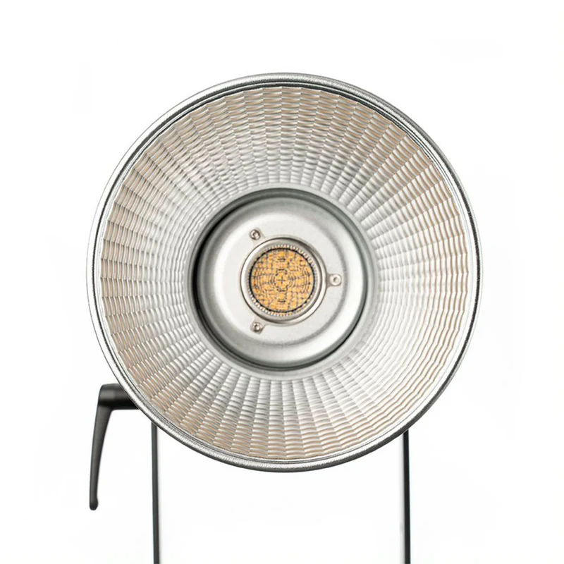 Aputure Lumière LS 300x LED Bicolore (V)