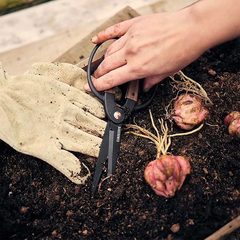 Barebones Rust-Resistant Steel Garden Scissors