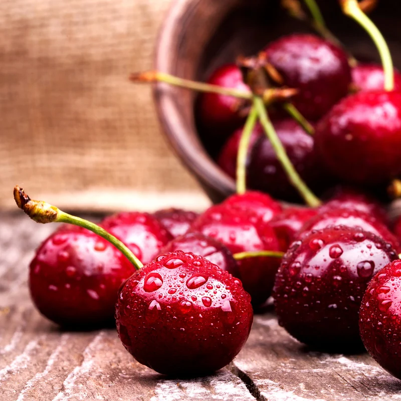 Skeena Cherry Tree