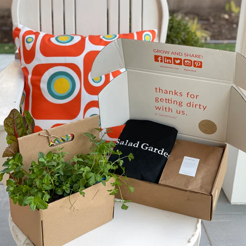 Gardenuity® Salad Garden Patio Kit